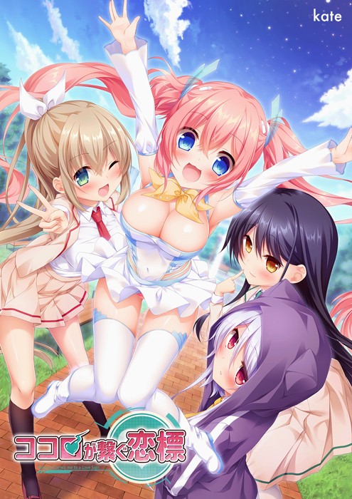 Kokoro ga Tsunagu Renbyou