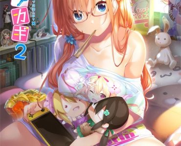 Aikagi 2 (アイカギ2)