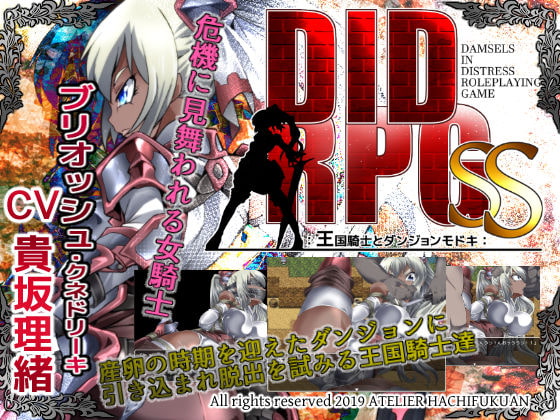 DID RPG SS ~ Kingdom Knight and Dungeon Modoki ~