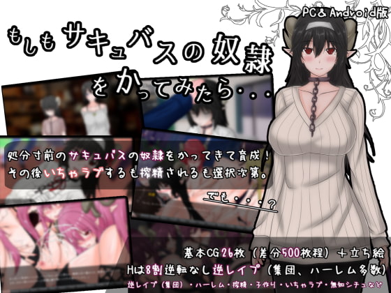 もしもサキュバスの奴隷をかってみたら・・・