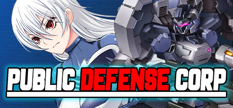 Public Defense Corp (民間正義会社2)