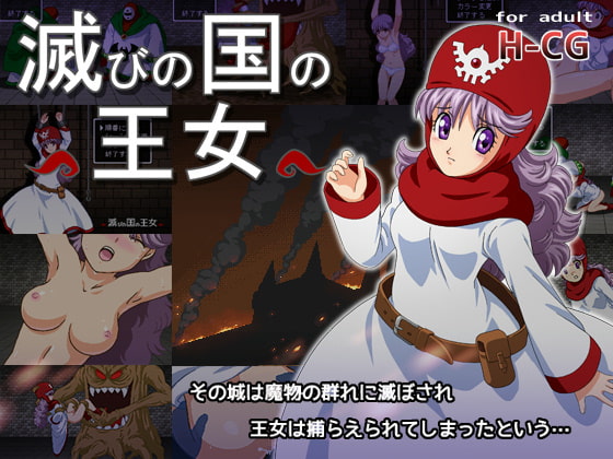 Princess of a Ruined Kingdom (滅びの国の王女)