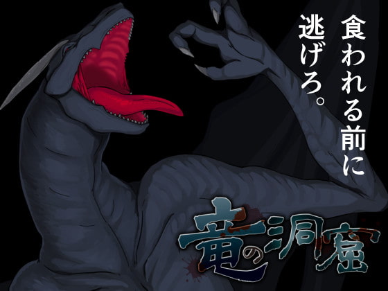 Dragon Cavern (竜の洞窟)