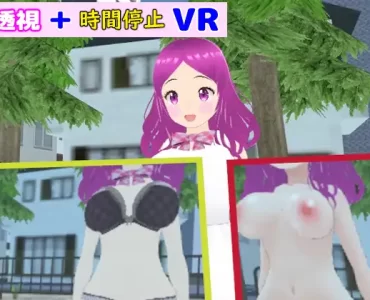 透視+時間停止VR (VR Only)