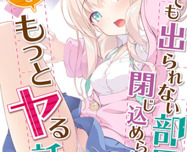 Yatte mo Derarenai Heya ni Tojikomerareta no de Hikitsuzuki Motto Yaru Hanashi