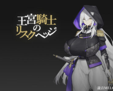 王宮騎士のリスクヘッジ