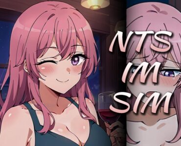 NTS-IM-SIM