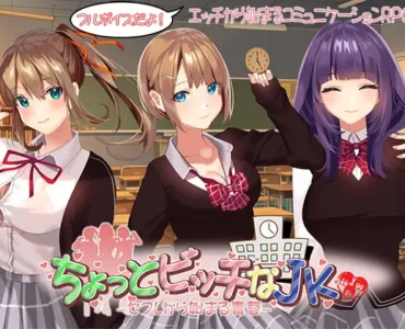 ちょっとビッチなJK -セフレから始まる青春-