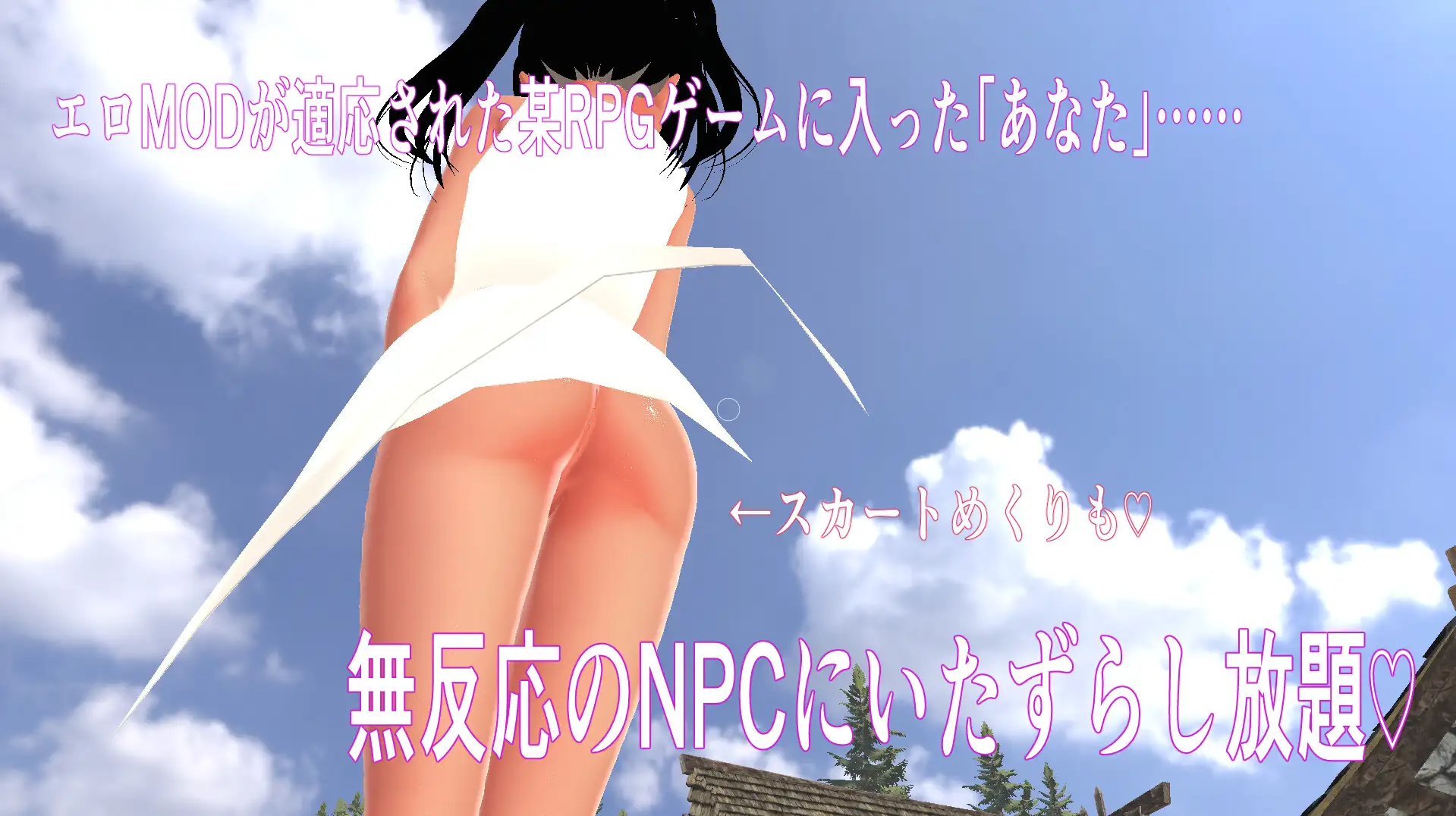 [RJ01423028] NPC姦3D ～海辺の町とエロMOD～
