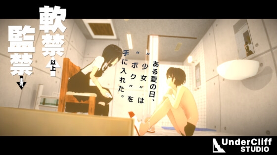 軟禁以上監禁未満 [RJ01630120]