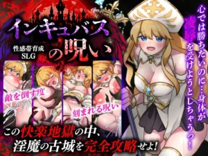 性感帯育成SLG インキュバスの呪い