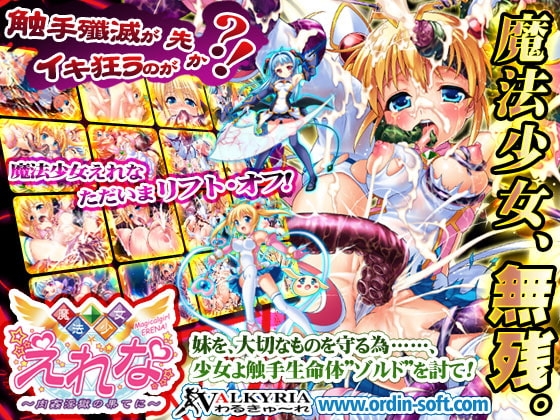 魔法少女えれな～肉姦淫獄の果てに～ [RJ048446]